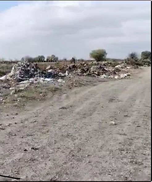 Ağdaşda vəzifəli şəxs cəzalandırıldı - FOTO