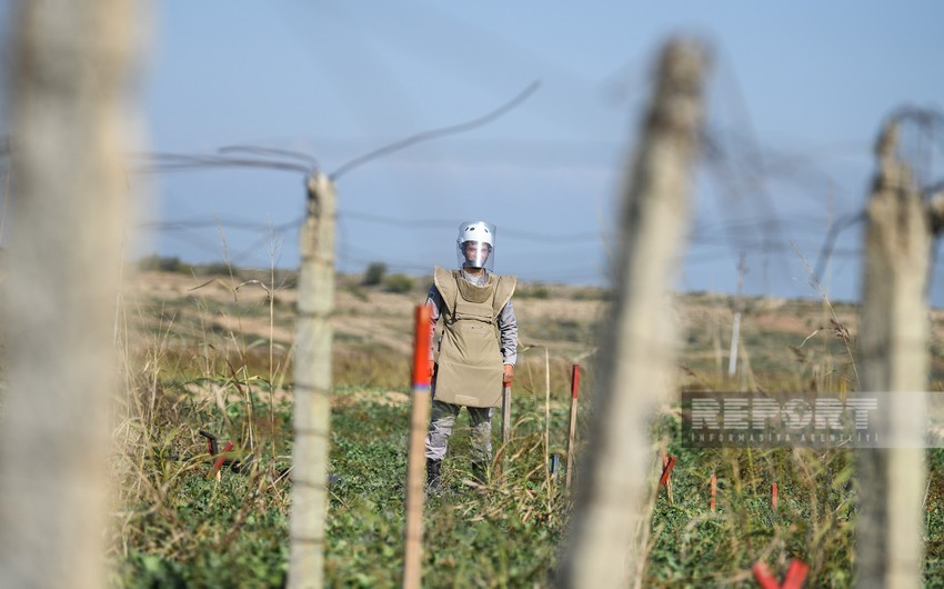 Bu xəstəxanalarda partlayıcı qurğular aşkarlanıb - ANAMA rəsmisi