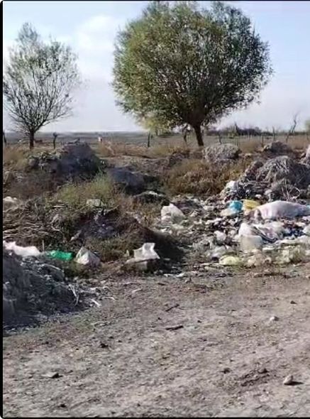 Ağdaşda vəzifəli şəxs cəzalandırıldı - FOTO