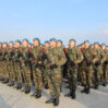 daxili qosunlar