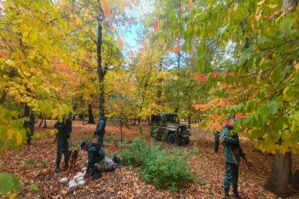 Sərhəddə 7 nəfərlə təxribat: atışma oldu - Ölən və saxlanılanlar var