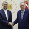 erdogan abdullahian