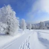 hava dekabr