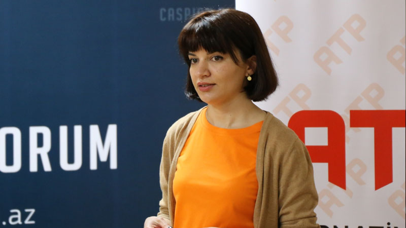 Sevinc Vaqifqızının ittiham olunduğu maddə açıqlandı