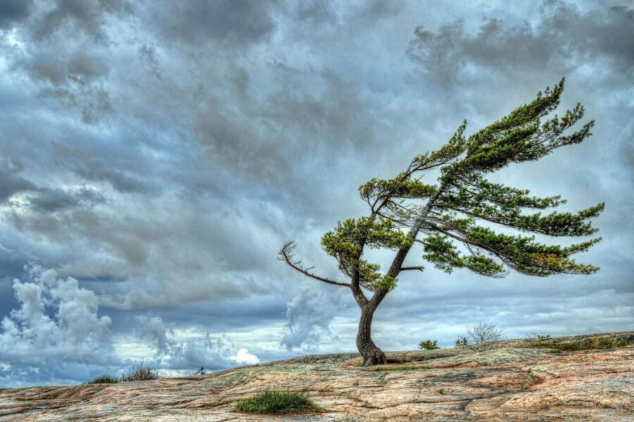 Bakıda küləyin sürəti artır - FAKTİKİ HAVA