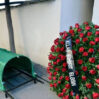 FotoJet 2022 12 04T165024.797 2 2 1