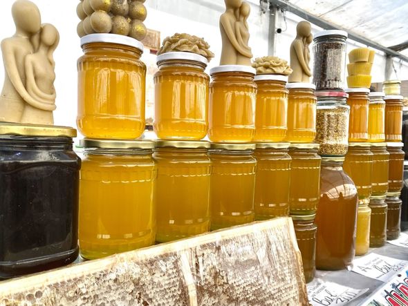 IMG 2844