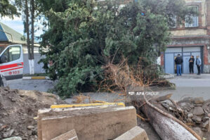 Külək ağacı yola aşırdı: yaralanan var - FOTOLAR
