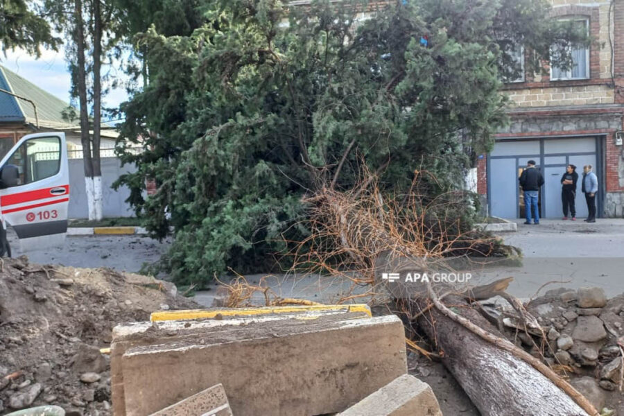 Külək ağacı yola aşırdı: yaralanan var - FOTOLAR