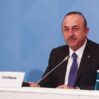 cavusoglu eit