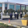 seymur aksiya