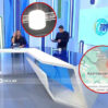 zelzele xezer
