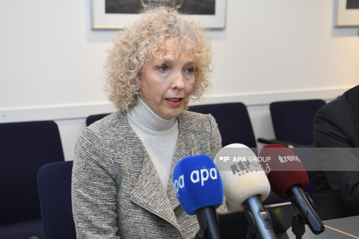 Almaniya XİN müavini: Azərbaycan da iqlim dəyişikliyinin təsirinə məruz qalır