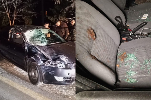Oğuzda sürücü maşınla atı vurub öldürdü, özü xəstəxanalıq oldu - FOTOLAR