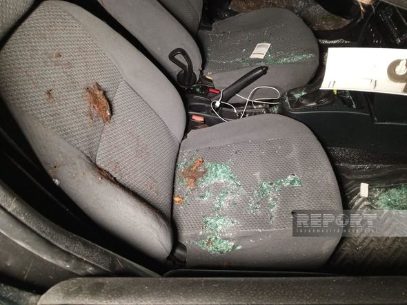 Oğuzda sürücü maşınla atı vurub öldürdü, özü xəstəxanalıq oldu - FOTOLAR