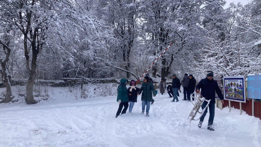 Qarlı havada 60 nəfər xəsarət alıb - TƏBİB