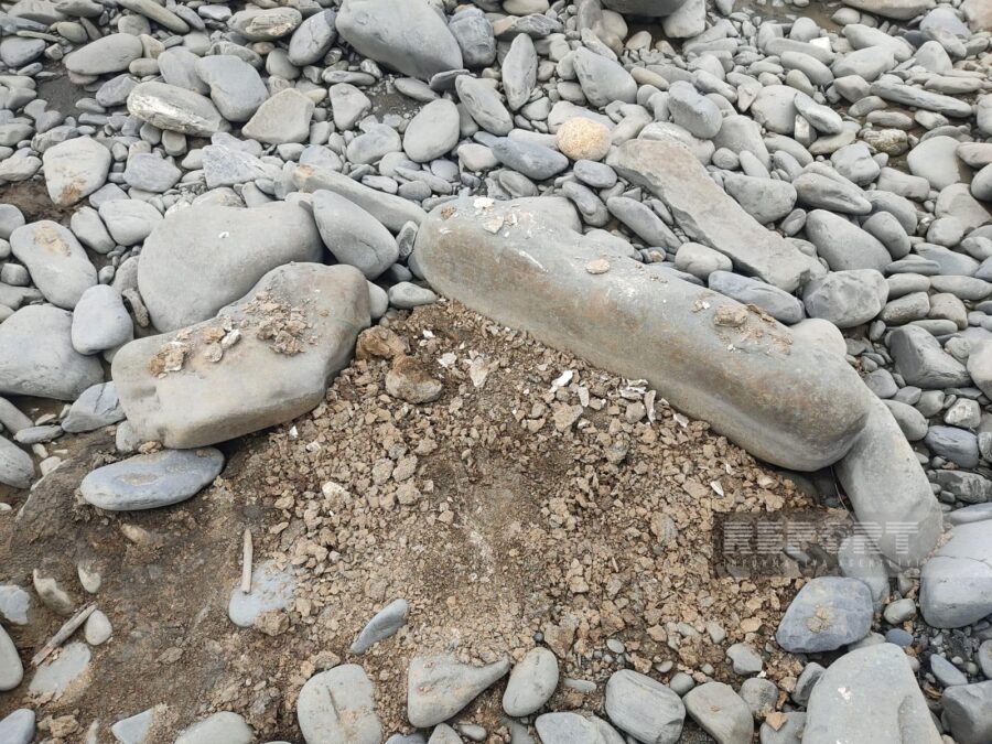 Balakəndə repressiya qurbanlarına aid olduğu güman edilən qəbirlər tapıldı