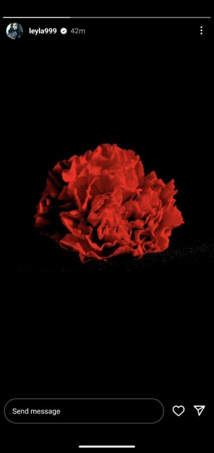 Leyla Əliyevadan 20 Yanvar faciəsinin ildönümü ilə bağlı paylaşım - FOTO