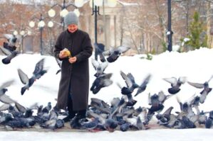 MARAQLI OLAY: Göyərçinləri yemlədiyinə görə cərimələndi