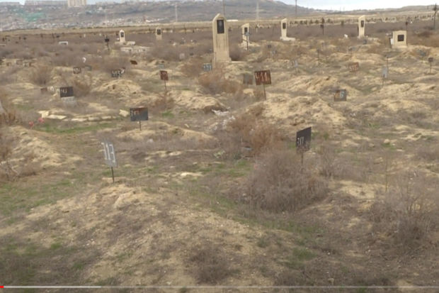 Paytaxtda heyvanlar məzarların üzərini açıb - VİDEO