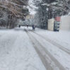 qarli hava 1