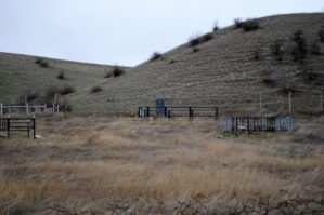 Bakıdan İrəvana tələb: Səhra komandirlərini cəlb et!