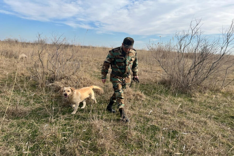 İmişlidə 11 yaşlı uşağın axtarışları davam etdirilir - VİDEO