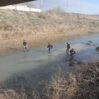 kanal usaq 1