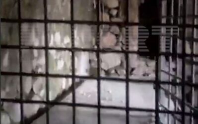 malibeyli 1
