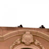 polis 1