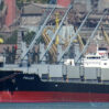 pollux