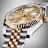 rolex 40