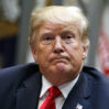 trump tramp