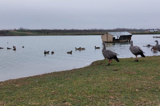Azərbaycanda gəncin yaratdığı maraqlı məkan - FOTO