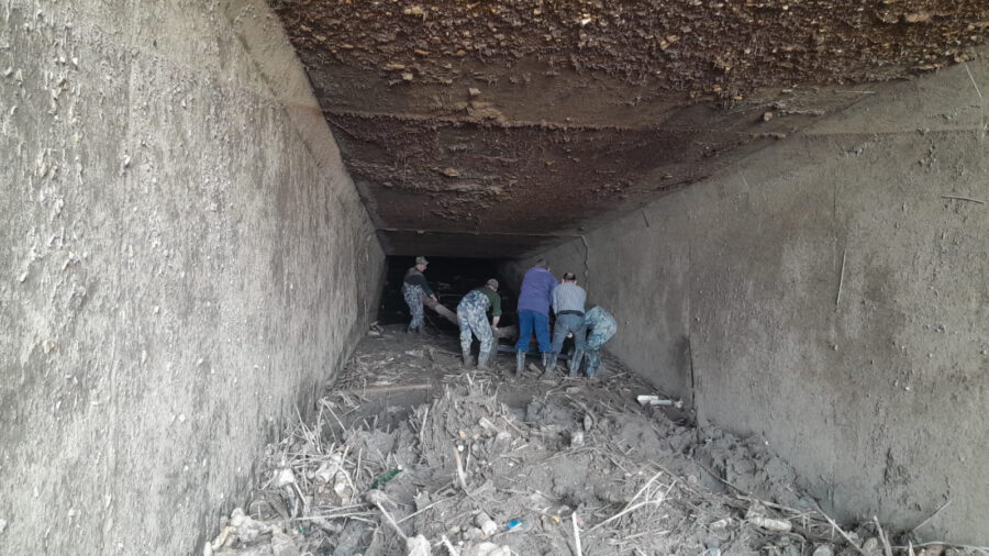 FHN 11 yaşlı oğlanın axtarışlarını davam etdirir - VİDEO