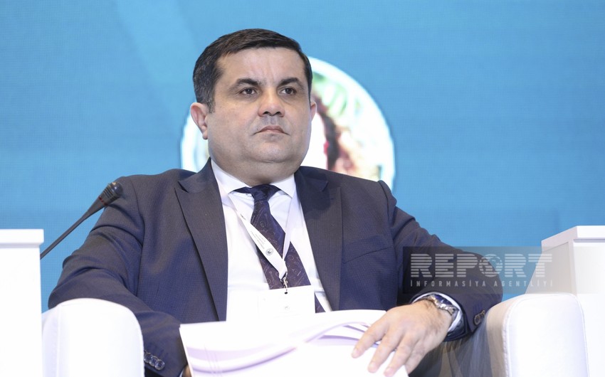 İslamofobiya Fransanın dövlət siyasətidir - Aydın Səfixanlı