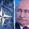 putin NATO 1