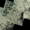 1714244523511002483 1200x630