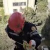 SDF