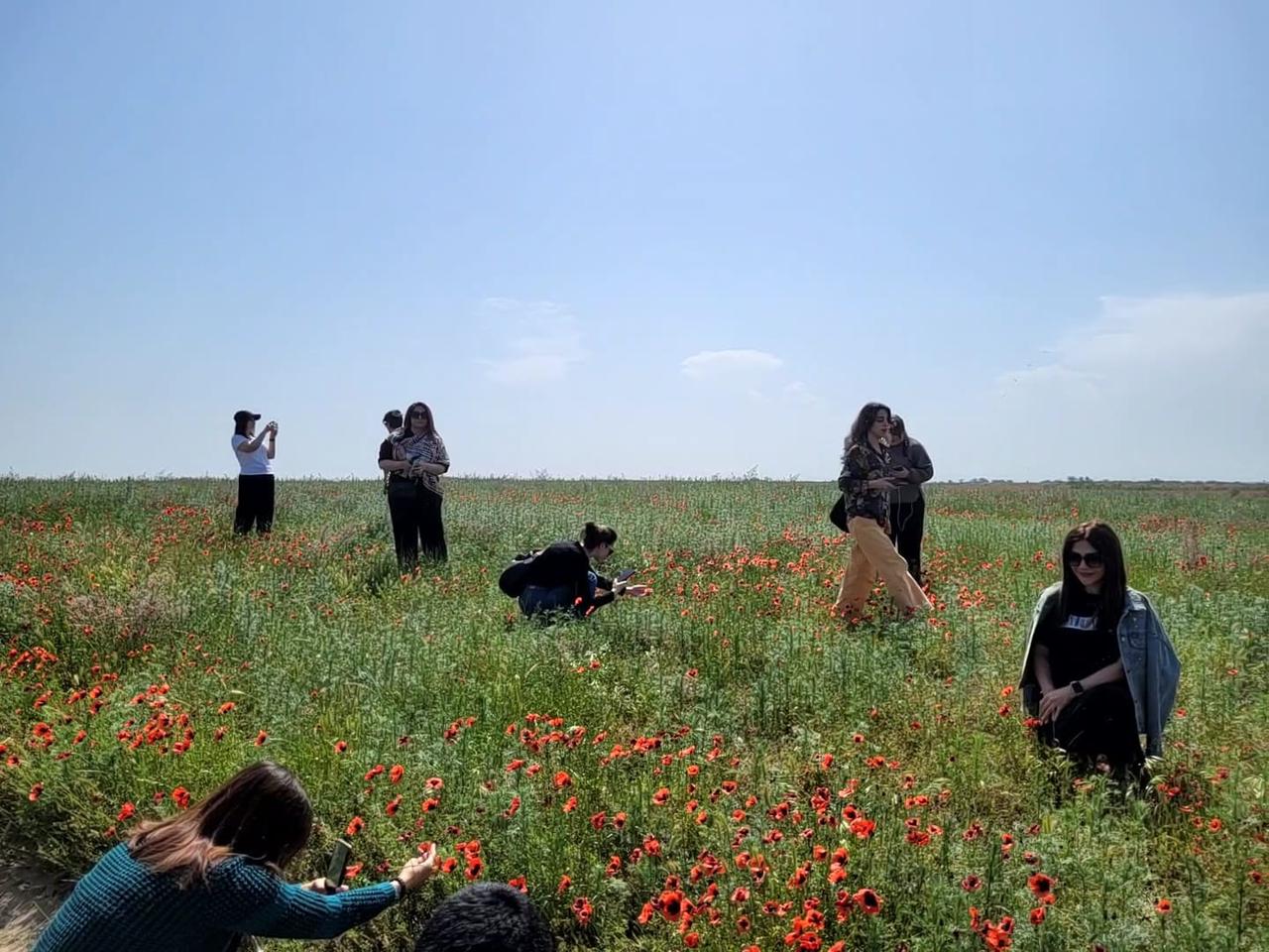 Laləli çəmənlik görmək istəyənlər, tələsin! - FOTOLAR