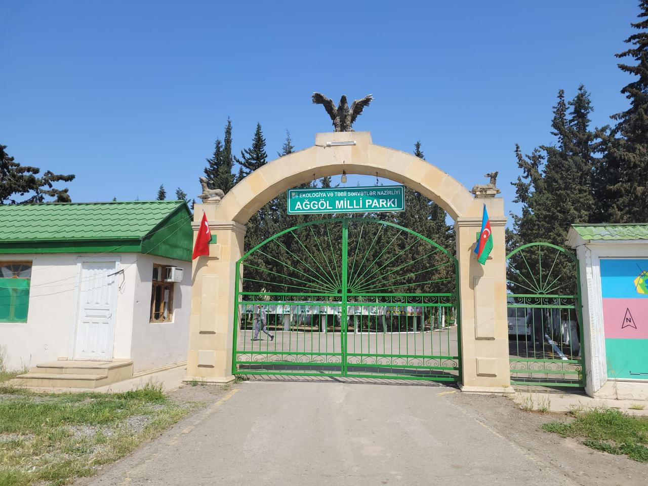 Laləli çəmənlik görmək istəyənlər, tələsin! - FOTOLAR