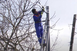 “Azərişıq” cənub rayonlarında yenidənqurma işlərini davam etdirir - VİDEO