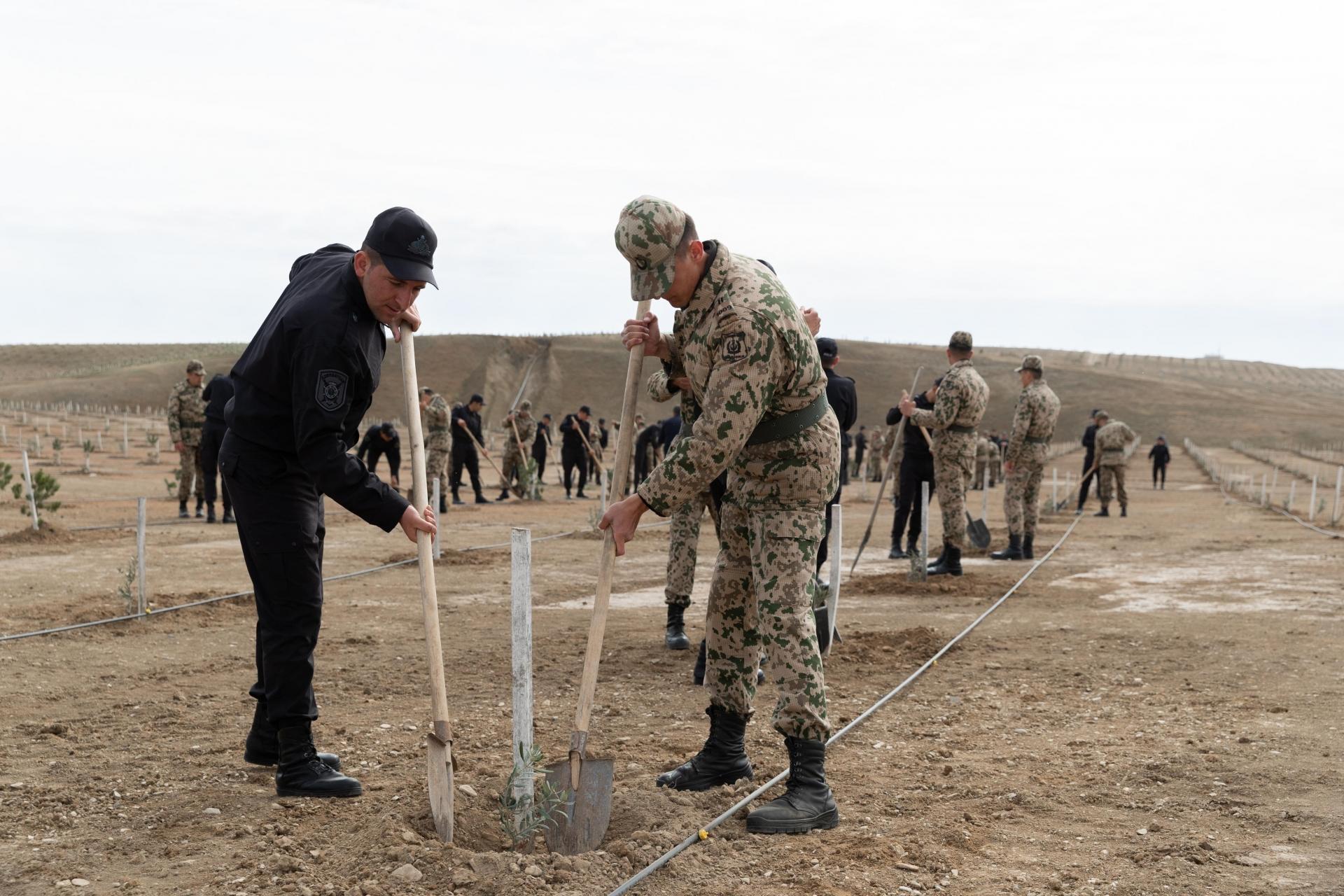 DİN-in əməkdaşları ağacəkmə aksiyası keçirdi - VİDEO