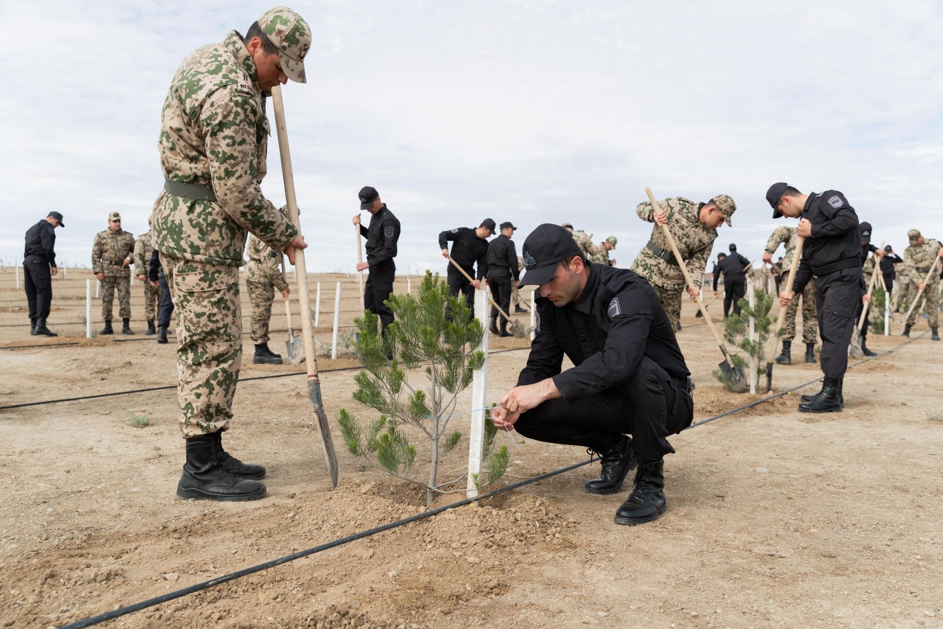 DİN-in əməkdaşları ağacəkmə aksiyası keçirdi - VİDEO