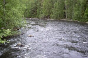 FHN əhaliyə müraciət etdi