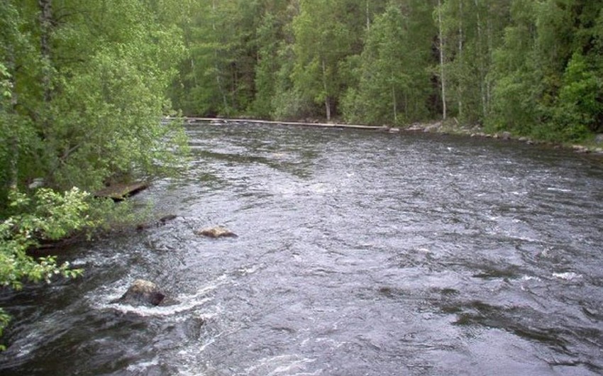 FHN əhaliyə müraciət etdi