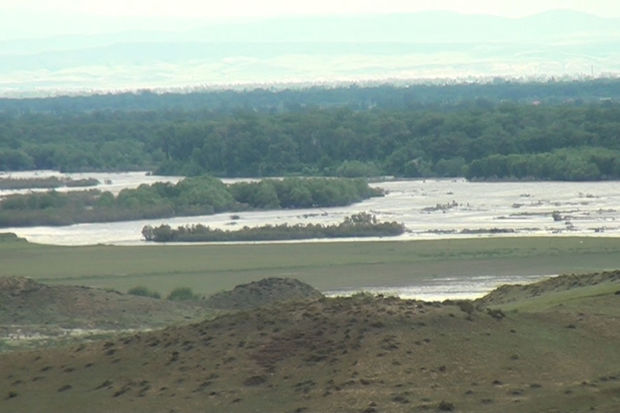 Kür daşdı: əkin sahələri su altında qaldı - FOTO