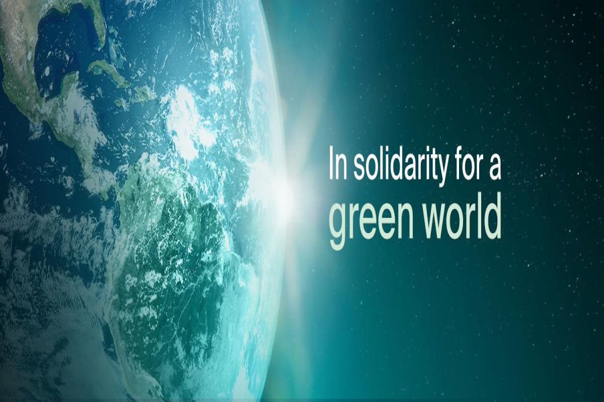 Xarici QHT-lər Azərbaycanın COP29 fəaliyyətini alqışladı - Bəyanat