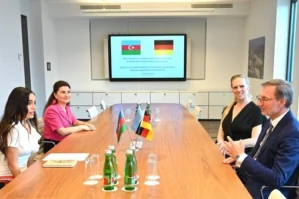 Leyla Əliyeva Berlində işgüzar səfərdə oldu - FOTOLAR