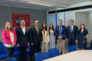 Leyla Əliyeva BMT-nin İsveçrədəki ofisində görüşlər keçirdi - FOTOLAR